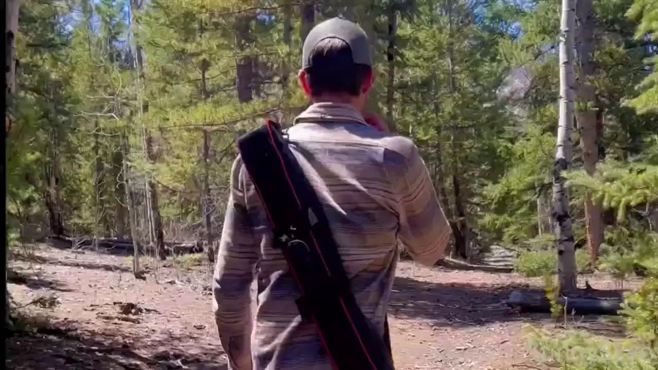 New sunday outdoor full length sunny and i went camping and found this 