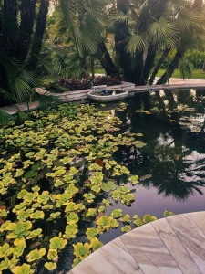 I am in love with nature and i know i have to rest but i ve already part 4