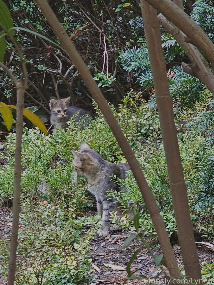 I am in love with nature and i know i have to rest but i ve already part 5 