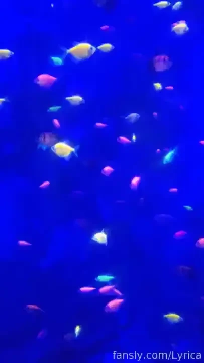 The little fishes are so cute by the way i found my totem fish hahh part 6 