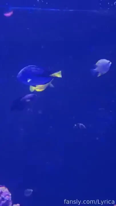 The little fishes are so cute by the way i found my totem fish hahh part 5 