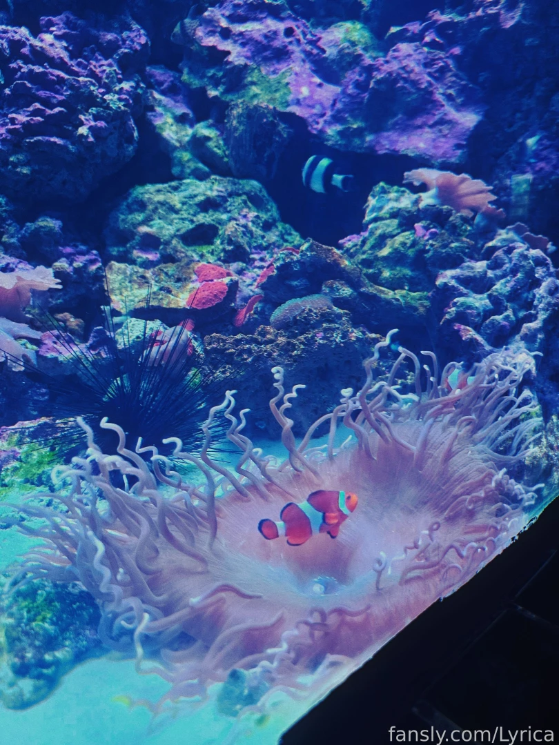 The little fishes are so cute by the way i found my totem fish hahh part 4 