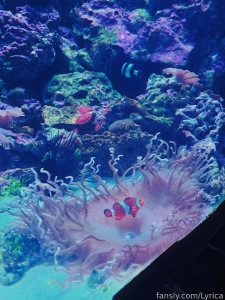 The little fishes are so cute by the way i found my totem fish hahh part 4