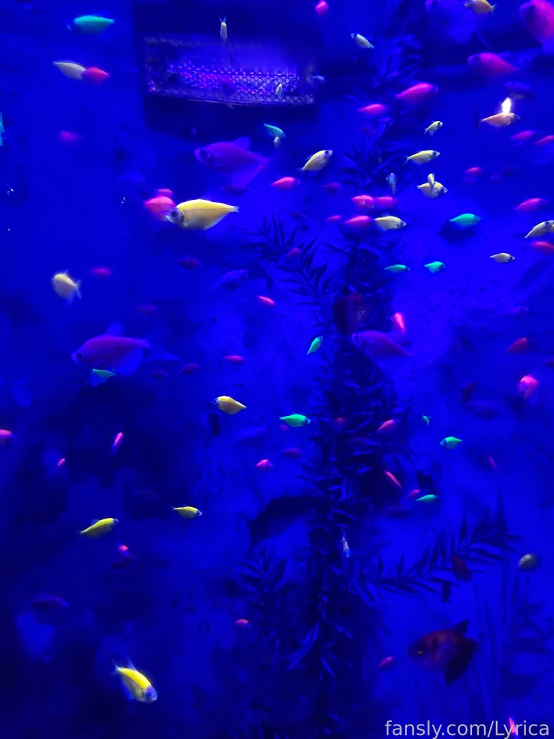 The little fishes are so cute by the way i found my totem fish hahh part 3 