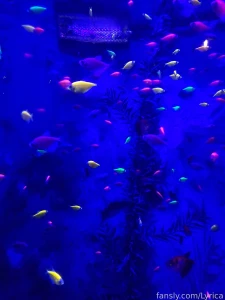 The little fishes are so cute by the way i found my totem fish hahh part 3