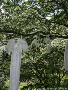 Tiffanyinnature took me and lucyluvs to this gorgeous park where we part 15