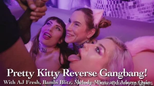 Aderes quin melanie mynx and bambi blitz are feral kitties ready to part 1
