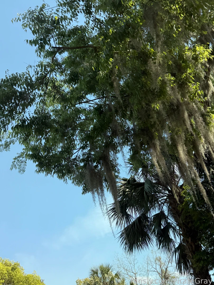 Been tucked away working for the last week accutane is still doing its 