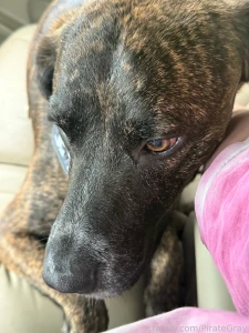 Last couple of days have felt a mixture of stressful chaotic and non part 2