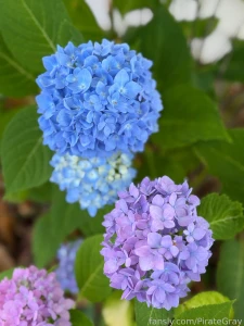 Last couple of days have felt a mixture of stressful chaotic and non