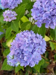 Last couple of days have felt a mixture of stressful chaotic and non part 3