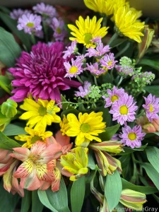 Nature is so darn gorgeous i have to stop and take pictures of all the part 3