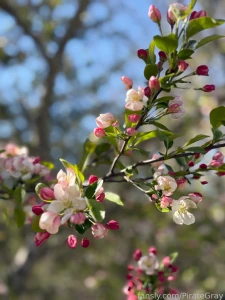 Nature is so darn gorgeous i have to stop and take pictures of all the part 4