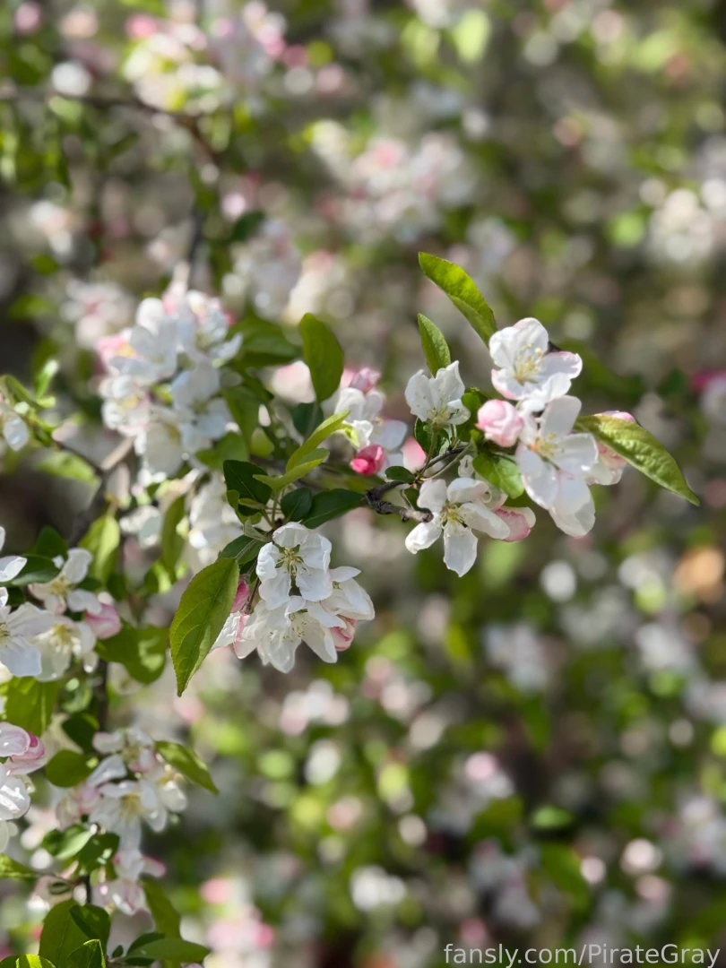 Nature is so darn gorgeous i have to stop and take pictures of all the part 9 