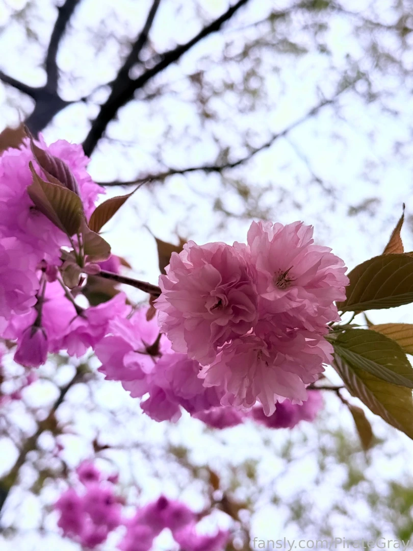 Nature is so darn gorgeous i have to stop and take pictures of all the part 1 