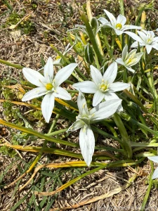 Nature is so darn gorgeous i have to stop and take pictures of all the part 2