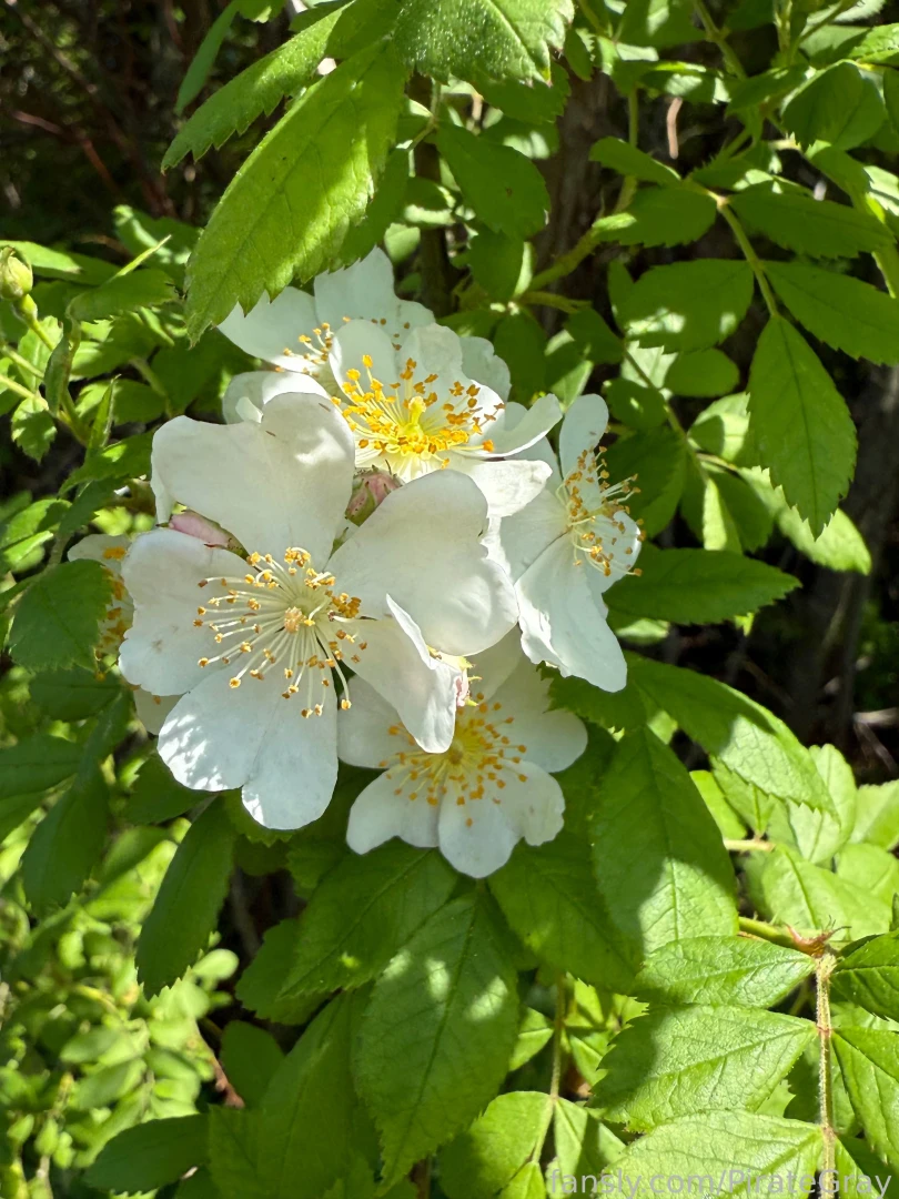 Nature is so darn gorgeous i have to stop and take pictures of all the part 6 