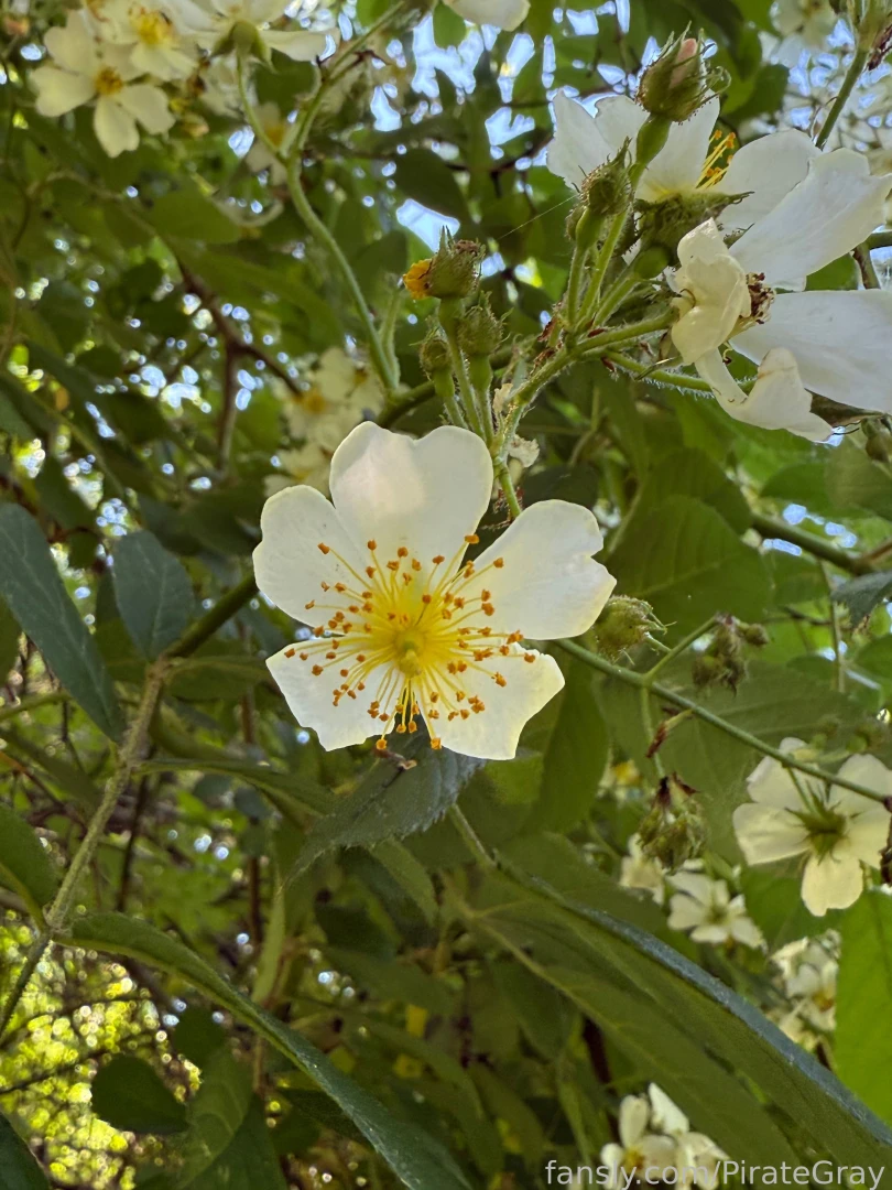 Nature is so darn gorgeous i have to stop and take pictures of all the part 5 