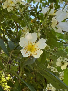 Nature is so darn gorgeous i have to stop and take pictures of all the part 5