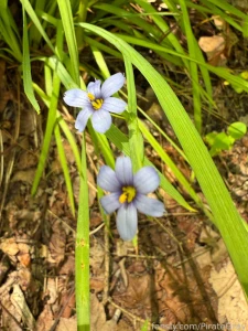 Nature is so darn gorgeous i have to stop and take pictures of all the part 7