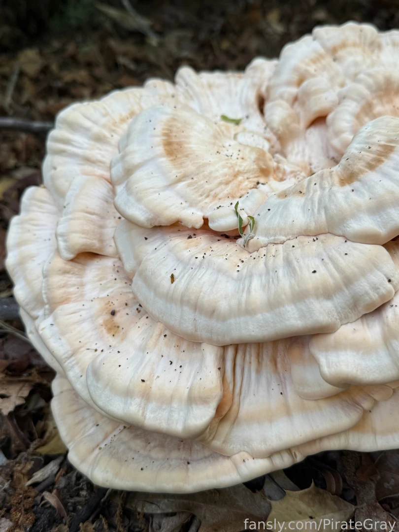 Nature is so darn gorgeous i have to stop and take pictures of all the 