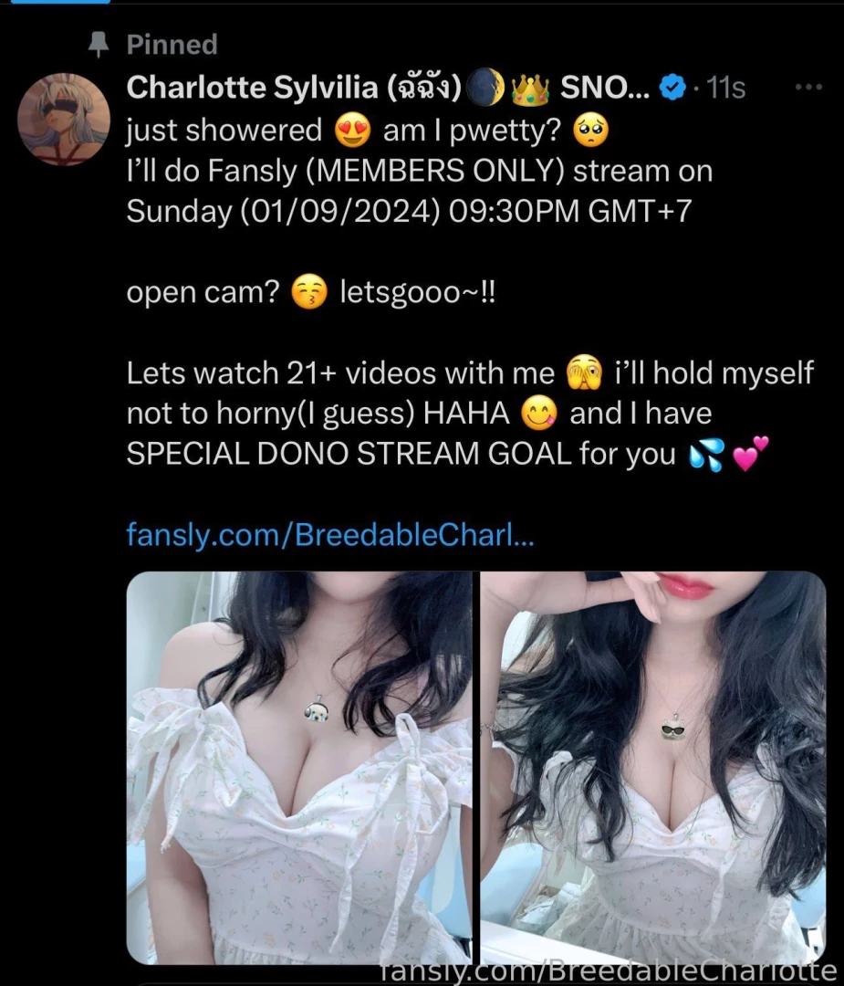 Upcoming members only stream 