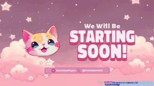 Vr toy streams part 1