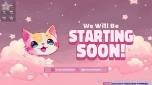 Vr toy streams