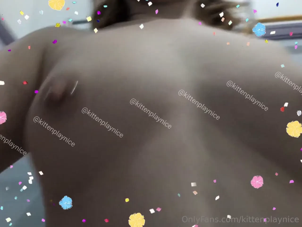 Would you help the chubby little kitty bounce 