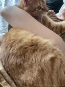 Almost dying with my cat from the heat wave