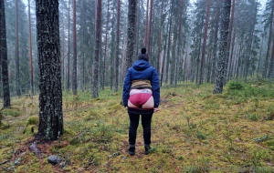 Terveisi mets st greetings from the forest