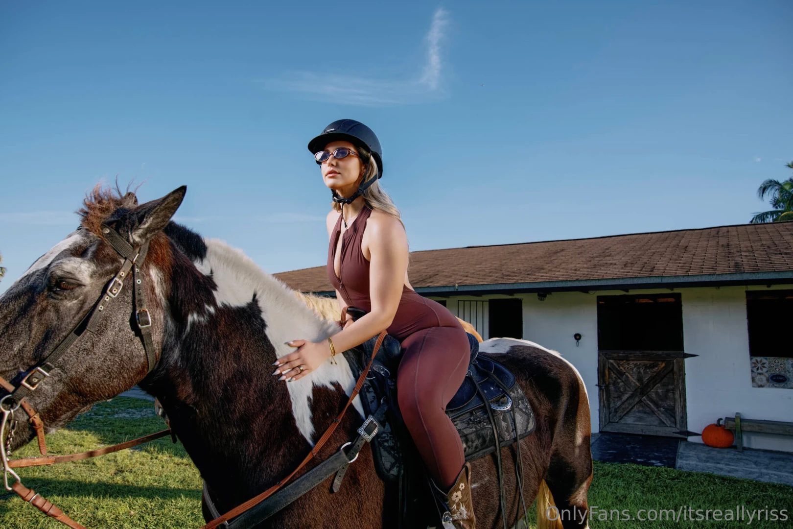 Hold on tight you re in for a wild ride part 1 