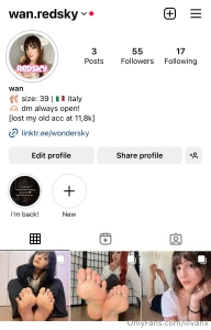 Il mio account instagram stato eliminato cos tante volte da aver perso