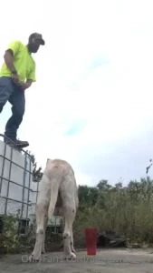 Never fails every time i need to make a video the producer busta and