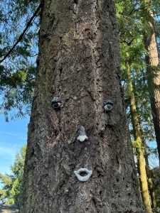 Just a little day in the life of maki most of it is spent naked p