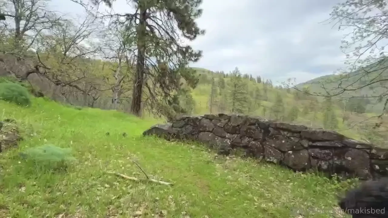 On our hike my partner sat on a bench and dropped his pants i knew part 2 