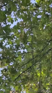 Oh hello there afternoon sun don t forget to stop and feel the may sun part 4