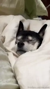 I m a birthday boy today if you d really like to make my bday special