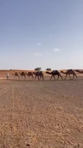 The battle is waiting us