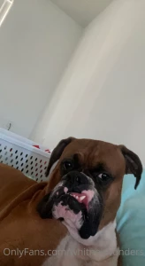 Goodmorning i dont want to get out of bed amp go to work absolutely no