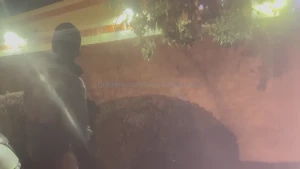 Freaky as fuck stroking this shit anywhere