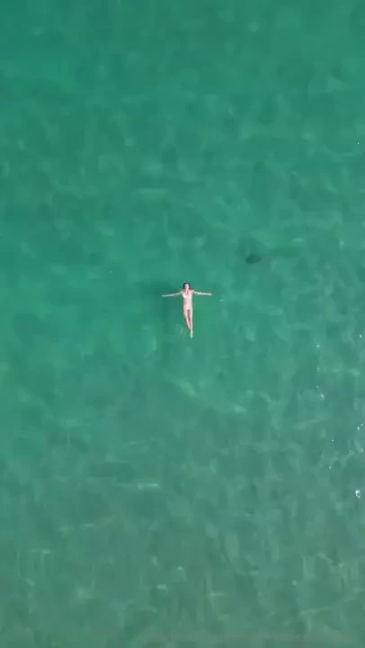 Daring and thriving how s your day going follow my vip page for a part 1 