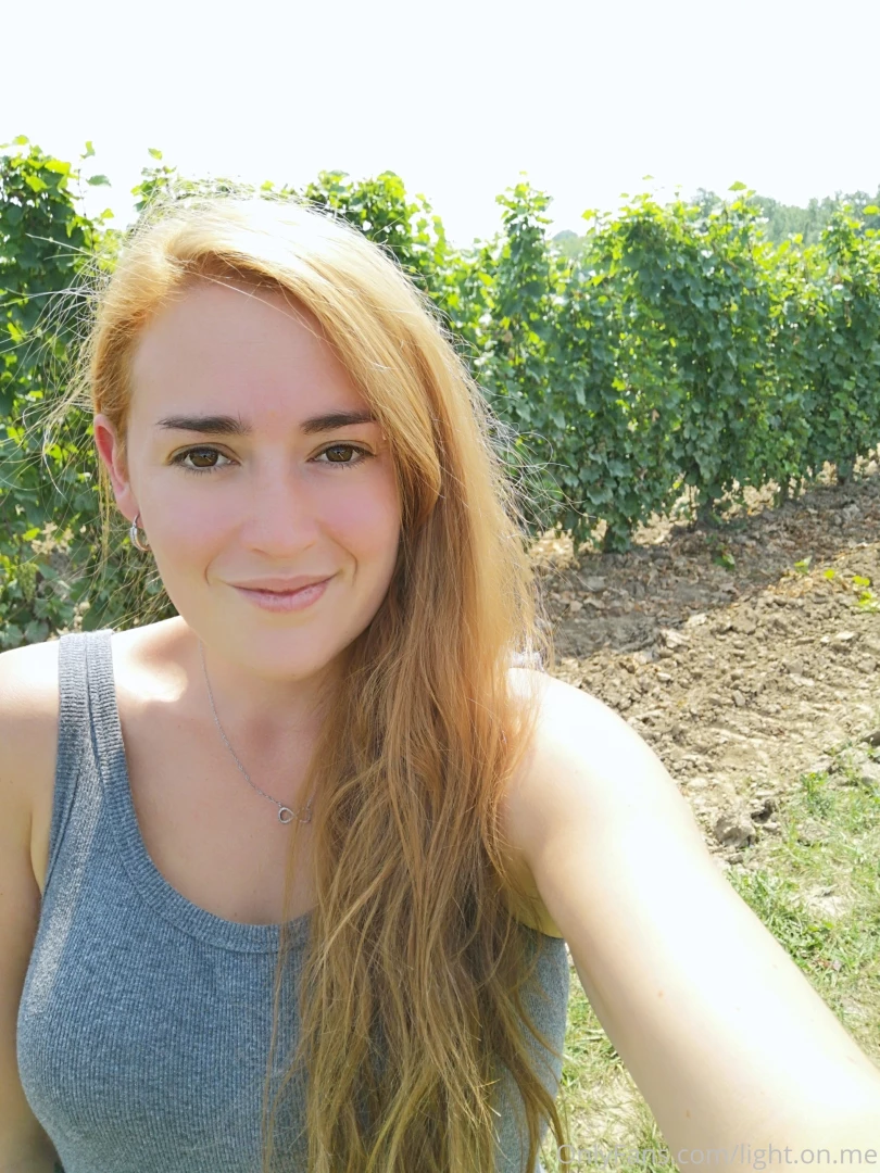 Une petite vir e dans les vignobles de niagara aujourd hui il fait 