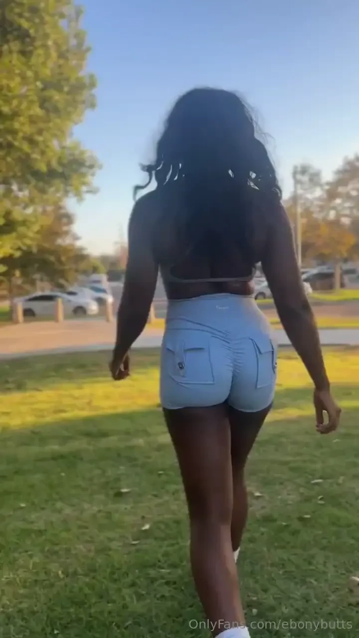 Sunrise walks in the park 