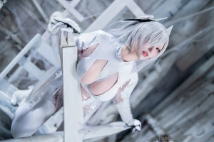 Cinderella nikke 39pics cinderella on comicmarket 105 there s also a