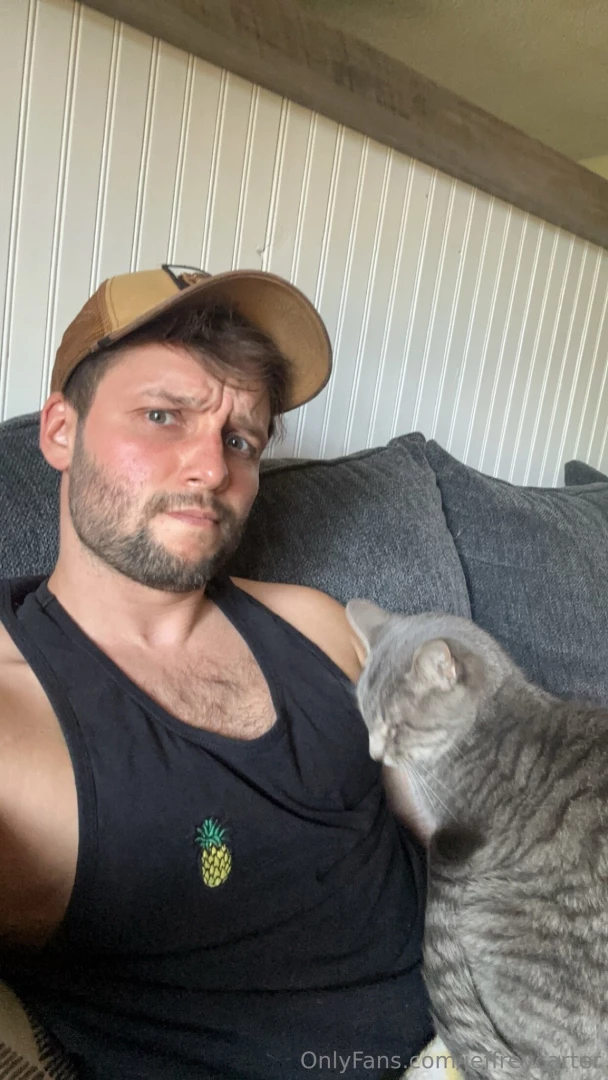 Dogs or cats part 2 