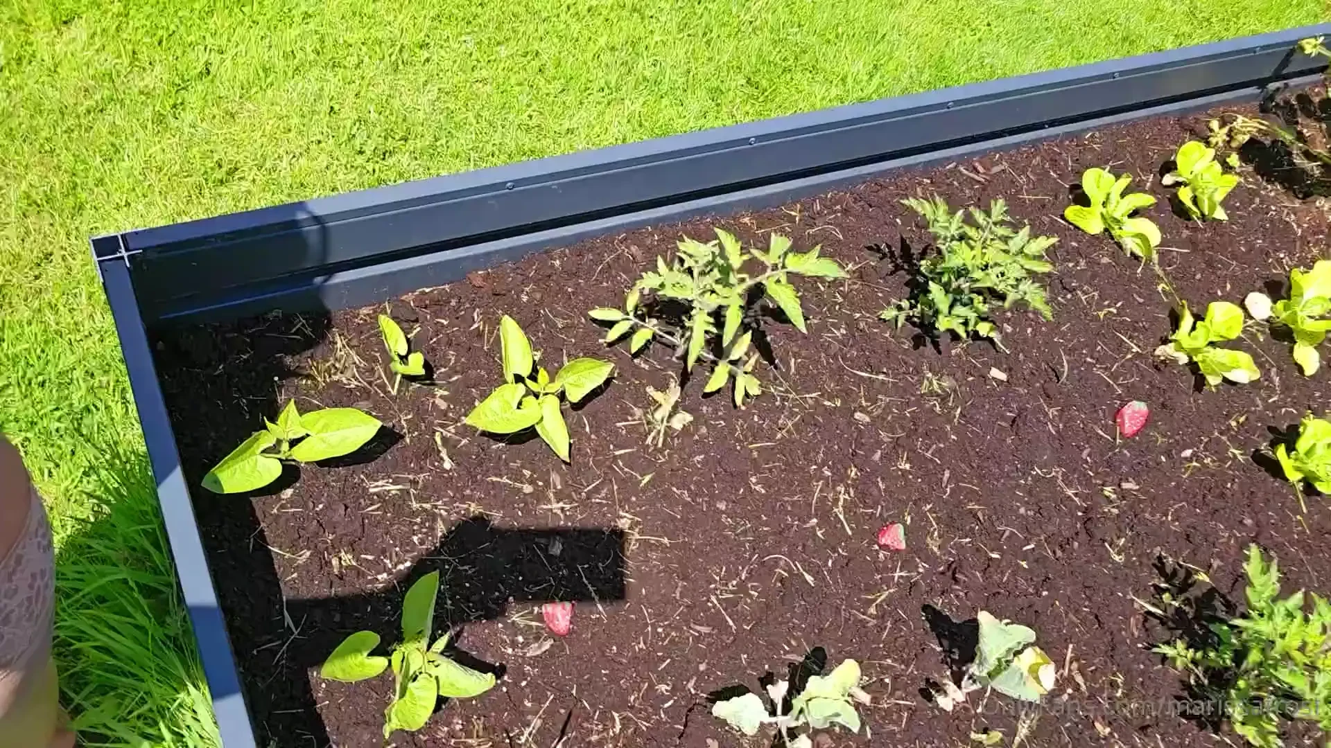 Look your not looking 