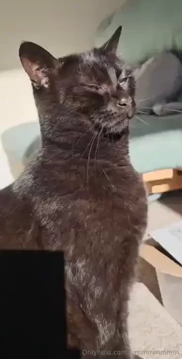 Little visit from luna when filming part 1 