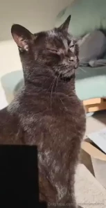 Little visit from luna when filming part 1