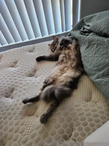 I really hate doing this but my poor angel misty is sick again she has part 2